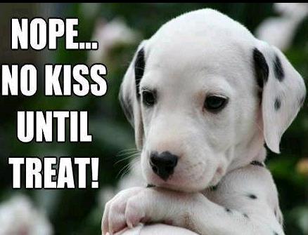 kiss-dog.jpg